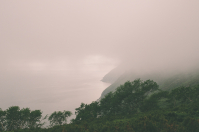 Тихая в тумане