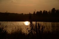 в тишине от городской суеты...