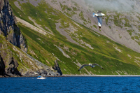 О-в Завъялова