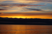 Специально для Gooday