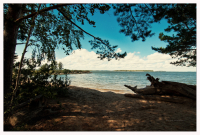 Забывая обо всём