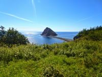 М. Островной