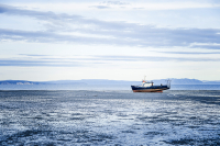 корабли северной пустыни