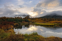 Пёс Серый на озере Киси