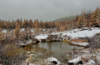 Первый снежок.