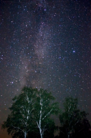 Звездная ночь