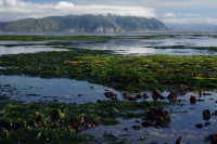 Ольский лиман.