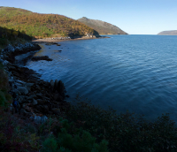 По пути к венцу