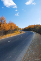 Золотая Колыма