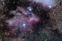 В созвездии Лебедя