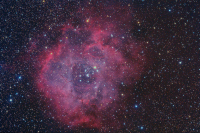 Rosette nebula