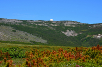 Обратная сторона шара.