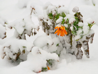 не успели убрать