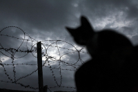 всё,просто,зашибись!