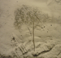 Лунная фантазия.