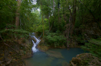 заповедник