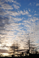 осенне-небесное