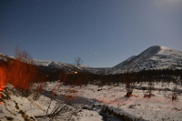 Звездный день