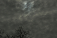 вы ничего не пропустили.