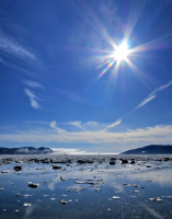 Всегда такое разное