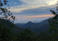 красота рядом