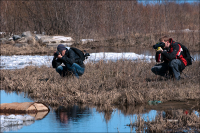 "Утиная охота"