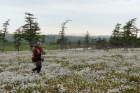 Вдохновение