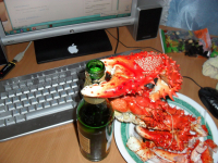 крабэ негодуэ