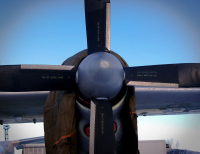 в условиях зимы