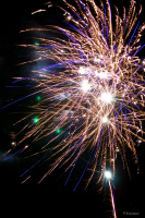 Огненные цветы 2