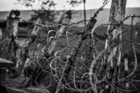 Про паутины....