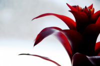 маленький огонёк души...