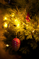 В преддверии Нового года...