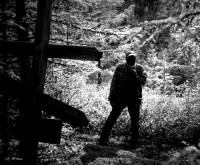 А будут навещать ли нас?