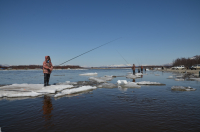 Антагонизм.