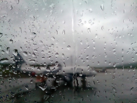 Последние капли...