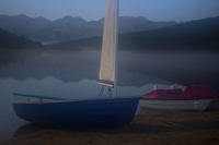 В ожидании ночной сказки