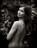 Встреча в лесу