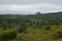 на островной1