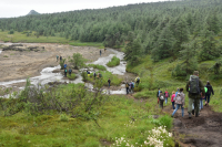 на островной2