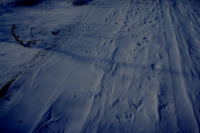 Re Заяяц-МУТАНТ