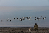 сновидения