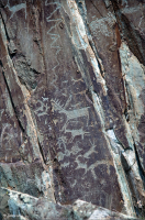 Графика предков