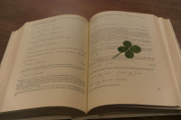 Счастье в книгах...