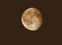 Сегодняшняя