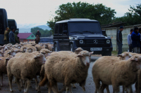 главная дорога