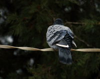 совсем один.....