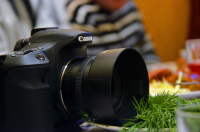 о жизни травоядных )