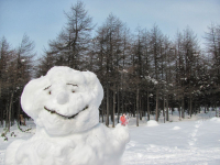 Снеговик, Самый большой в округе)
