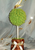 Зеленый топиарий